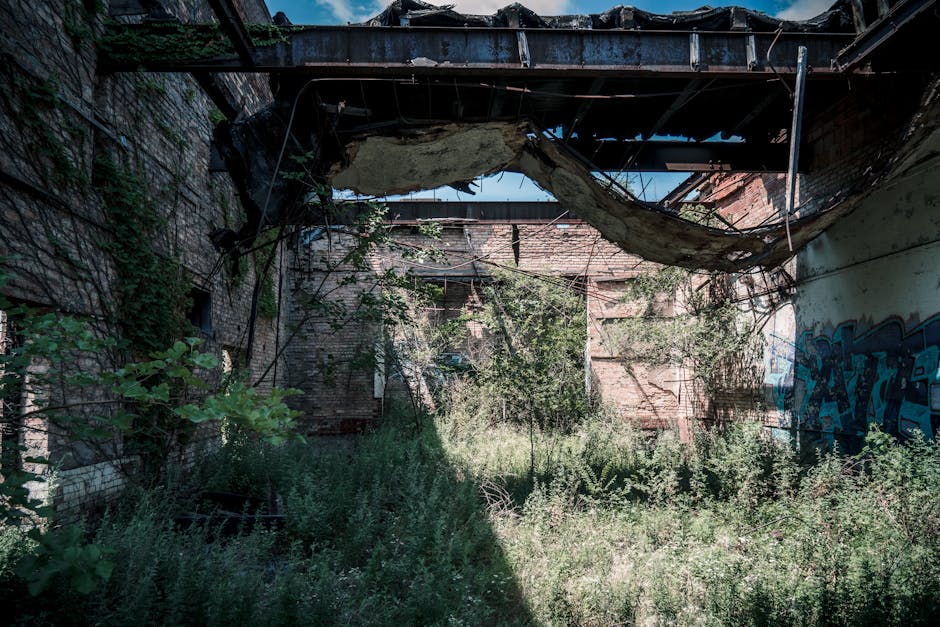 Overgrown plants reclaim an abandoned building with graffiti.